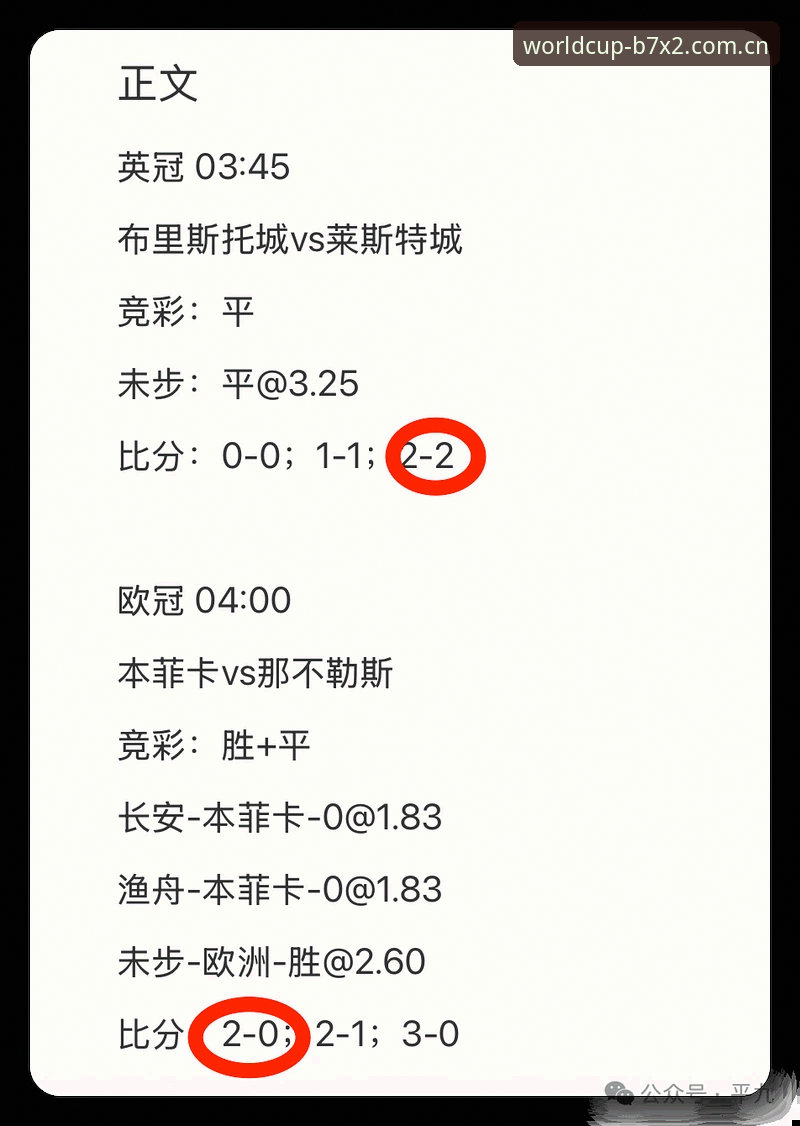 世界杯买球App深度解析：专业竞猜平台的选择与趋势